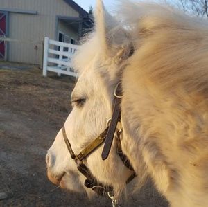 Meet your Posher, Clare